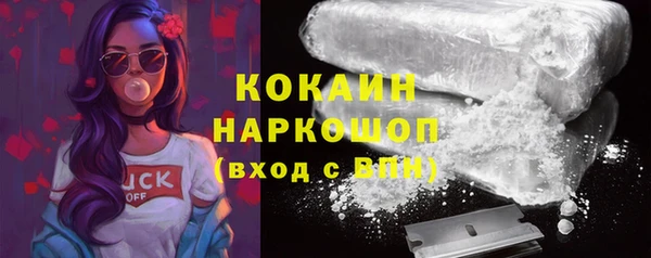 СК Зерноград