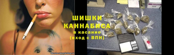 СК Зерноград