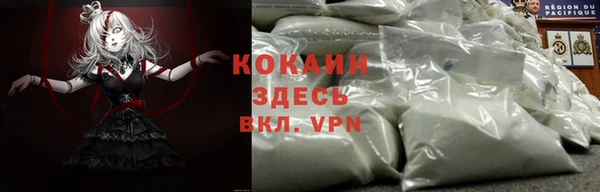 СК Зерноград