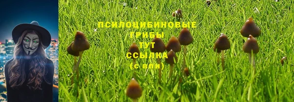 каннабис Зеленокумск