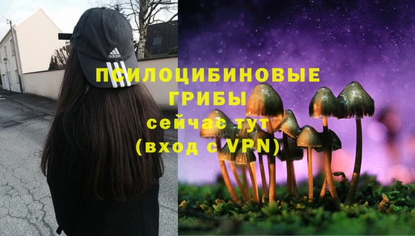 ECSTASY Зеленодольск