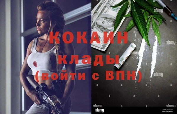 СК Зерноград