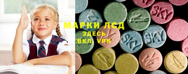 ECSTASY Зеленодольск