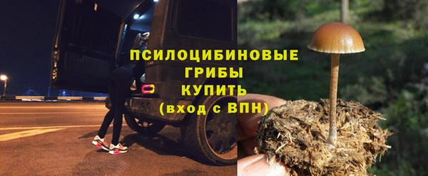 ECSTASY Зеленодольск