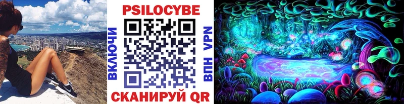 купить наркотик  Первоуральск  блэк спрут ссылка  Псилоцибиновые грибы мицелий 